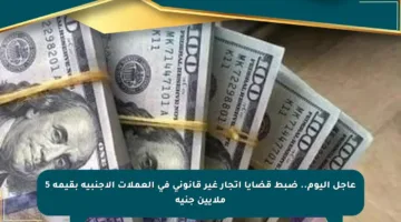 عاجل اليوم.. ضبط قضايا اتجار غير قانوني في العملات الأجنبية بقيمة 5 ملايين جنيه